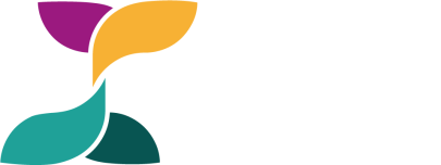 Nexus Solutions